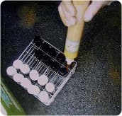 地下水調查分樣